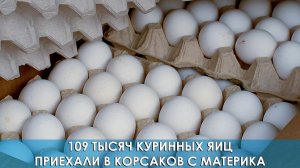 109 тысяч куринных яиц приехали в корсаков с материка