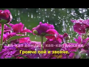 Музыка дождя