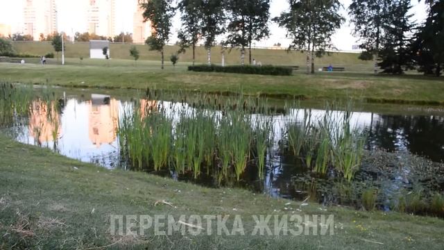 ЖЕНА НАГНУЛАСЬ НАД ГРЯДКОЙ И СОСЕД НЕ УСТОЯЛ... Истории из жизни людей Аудио рассказы слушать смотреть онлайн