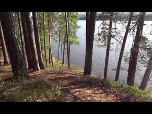 Русская красавица   - поёт Светлана Русская