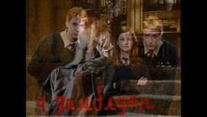 Топ 5 любимых персонажей из Гарри Поттера.