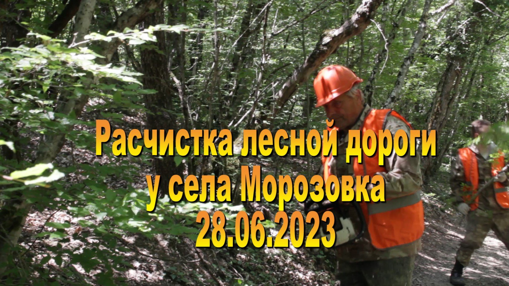 28.06.2023.Алсу - лесные дороги.