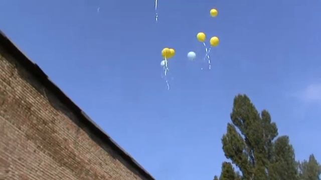 1 сентября 2013 14 гимназия №178 11) смотреть онлайн