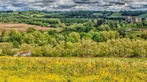 Дочь банкира позвала сантехника на важные переговоры, а едва он произнёс эти три слова