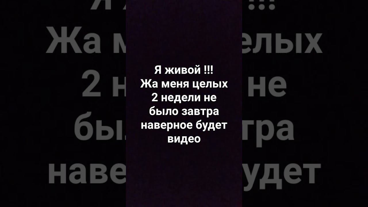я вернулся да моя кошка не выжила #shots #tiktok #cat #рекомендации #явернулся