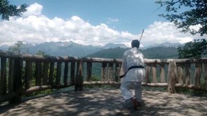 Видео урок #16. Ката 31 дзё, с 19 по 24 движение.mp4