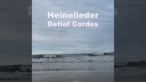 Ein Fichtenbaum steht einsam