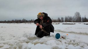 Жерлицы Петровича- подсечка сердцем, иначе щука убежит!!!