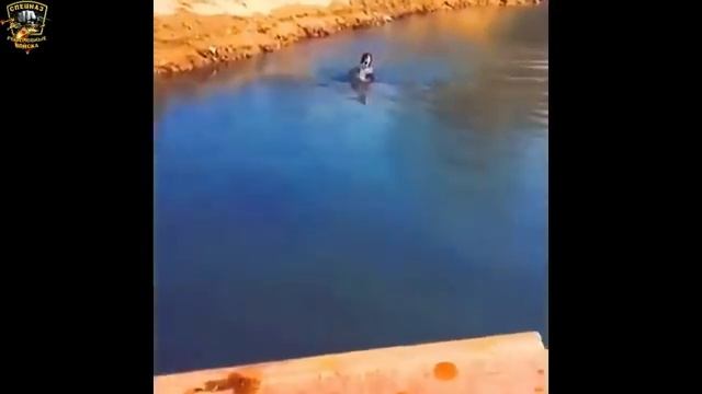 ПРИКОЛЫ НА РЫБАЛКЕ смотреть онлайн