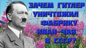 Зачем Гитлер уничтожил фабрику Иван Чая в СССР