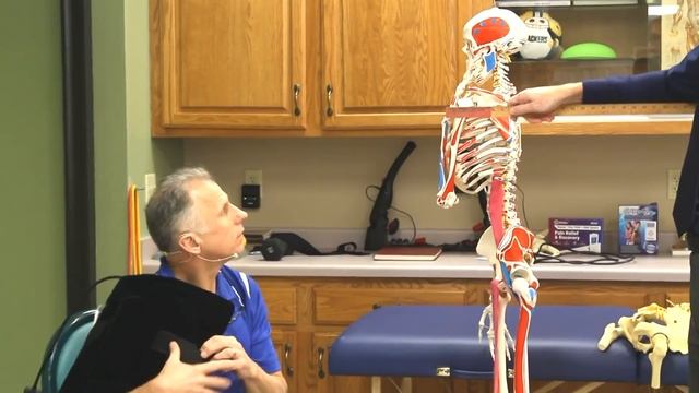 The Secret Reason Infrared Heat Can Heal Neck, Back, Shoulder, Hip Pain & More! смотреть онлайн