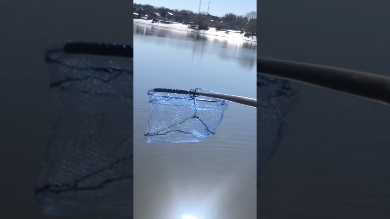 БОЙКИЙ весенний ЛЕЩ на ФИДЕР смотреть онлайн