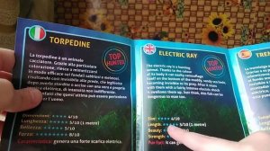 (рубрика обзор) резиновый скат