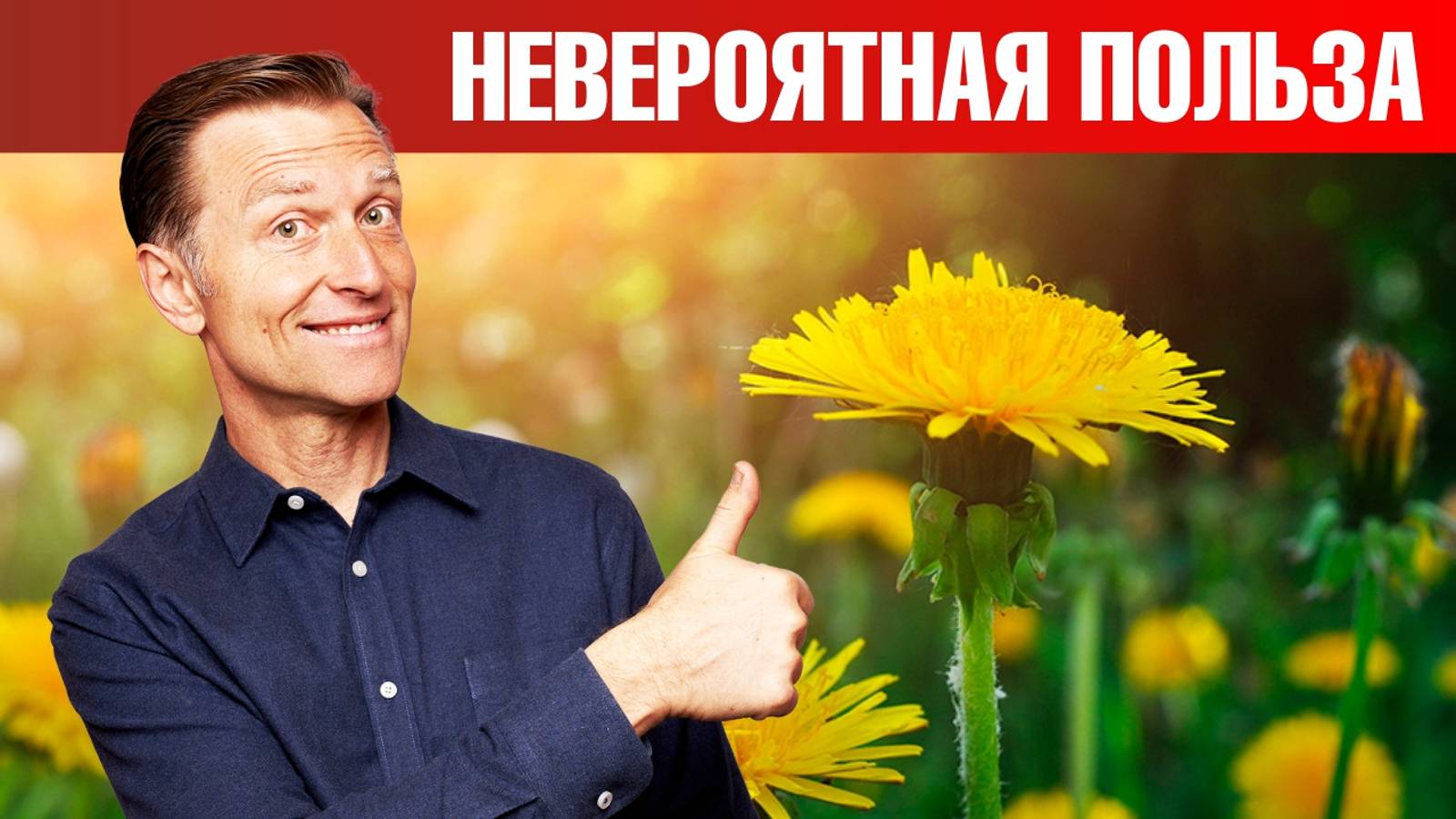 Одуванчик – лучший сорняк от жира в печени и других проблем 🔥