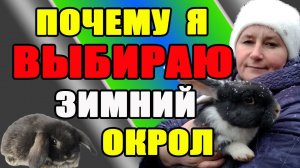 Почему я выбираю ЗИМНИЙ ОКРОЛ.