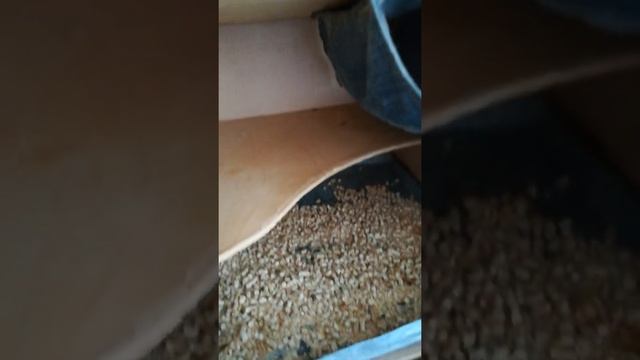 Обзор на клетку для шиншилл смотреть онлайн