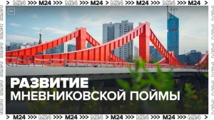 Мнёвниковскую пойму интегрируют в транспортную сеть Москвы — Москва 24