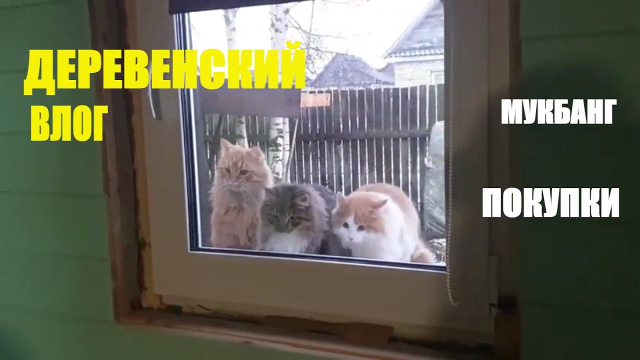 МУКБАНГ/ СОЛЯНКА/ДЕРЕВЕНСКИЕ БУДНИ