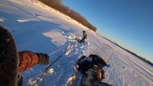 Проверка ловушек ГИГАНТСКИЕ ЩУКИ -36(ПРОМЫСЕЛ)