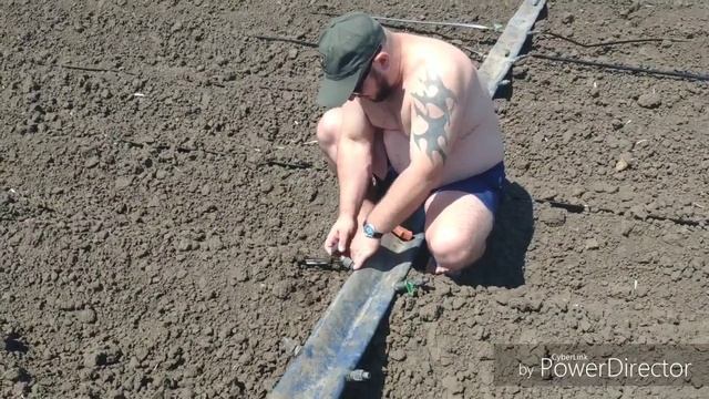 Капельный полив. Как подключить капельную ленту к Лайфлету.