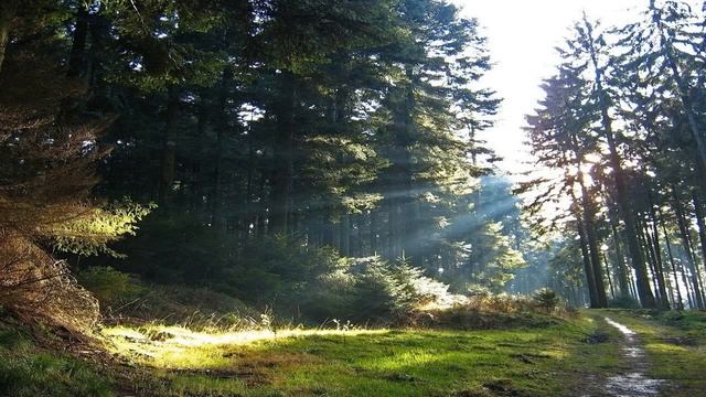 Музыка для сна, музыка для медитации,звуки природы/Meditation music,sleep music смотреть онлайн