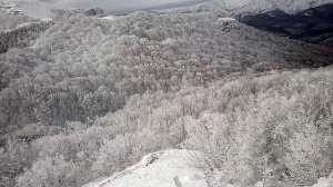 По заснеженной тропинке