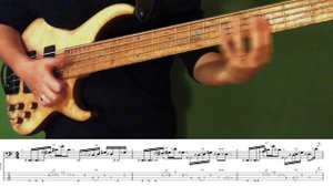 slap bass licks with tab (12) mtd 535 bass