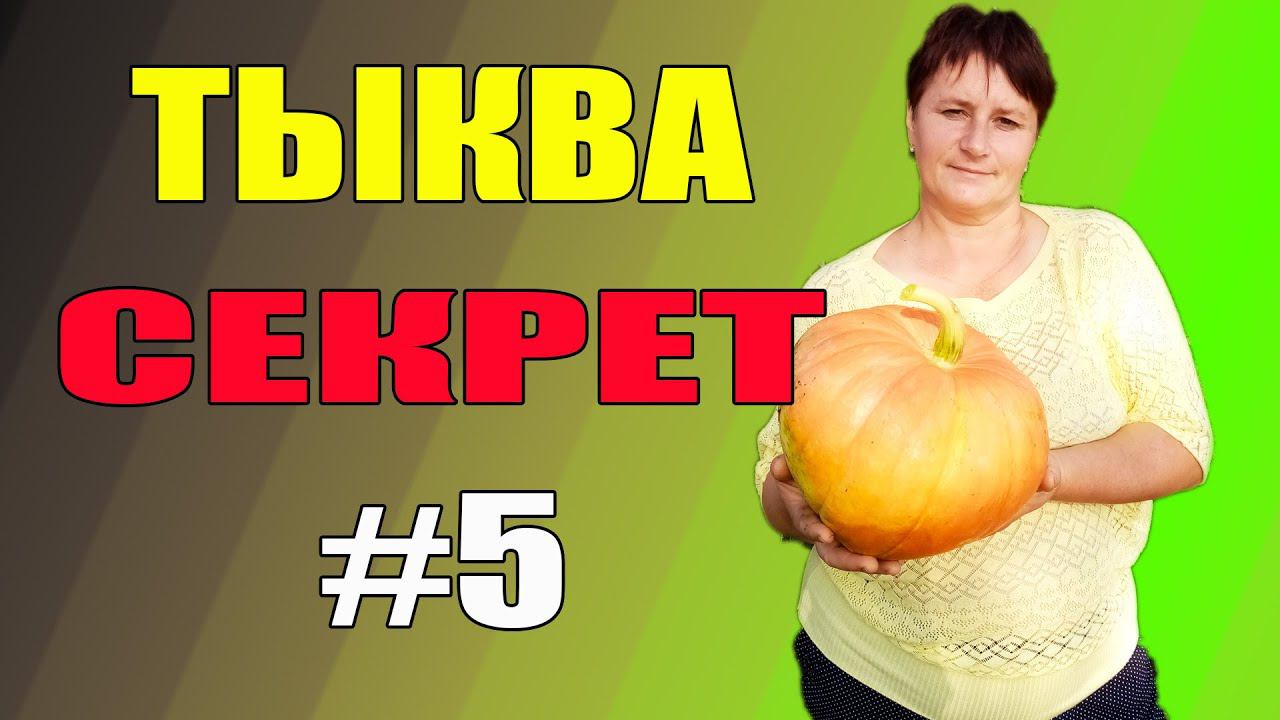 Тыква - секрет #5 для яйценоскости кур