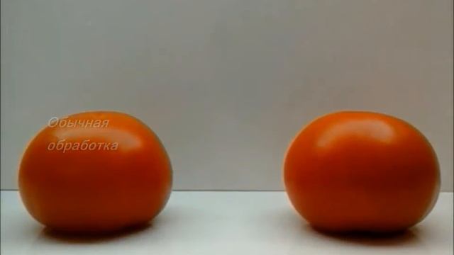 атомик смачиватель прилипатель смотреть онлайн