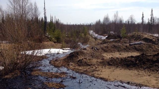 Лукоил следит за экологией смотреть онлайн