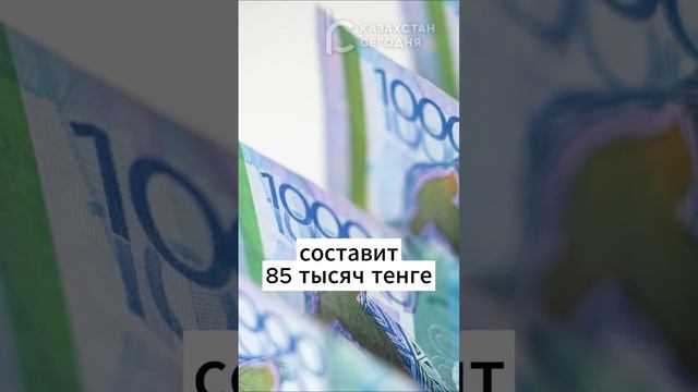 В Казахстане с 1 января 2024 года минимальная зарплата составит 85 тысяч тенге #зарплата #казахстан