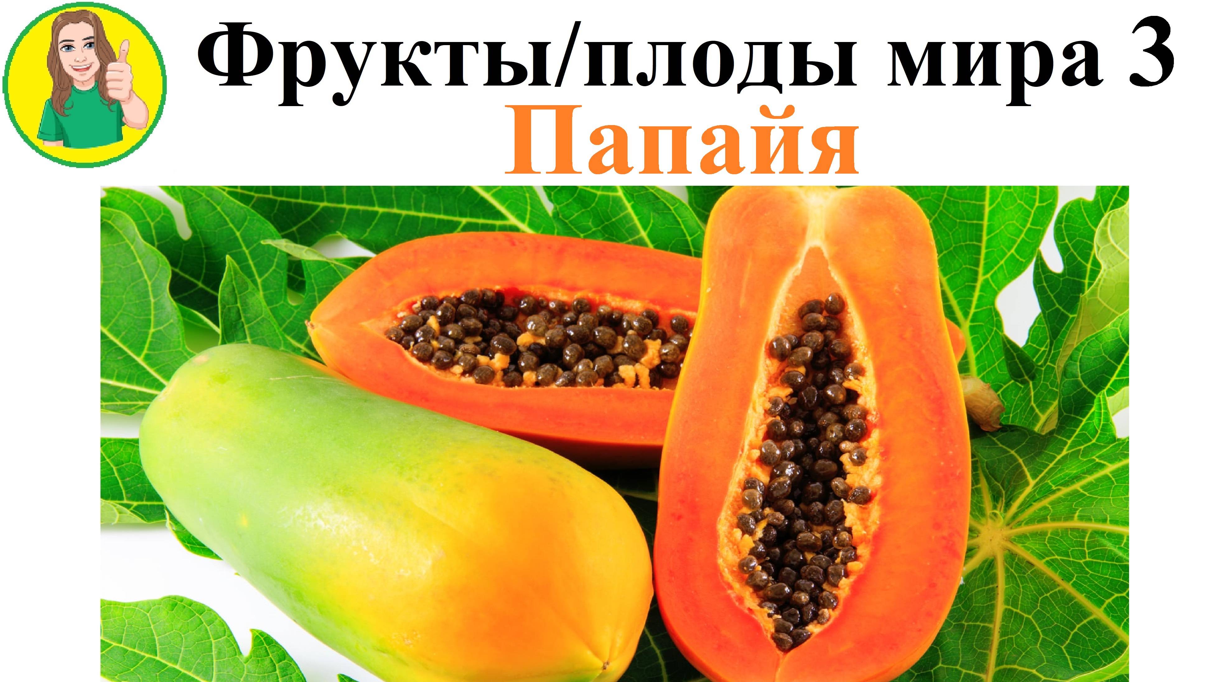 Фрукты - плоды мира 3 – Папайя Сыроедение Фрукторианство