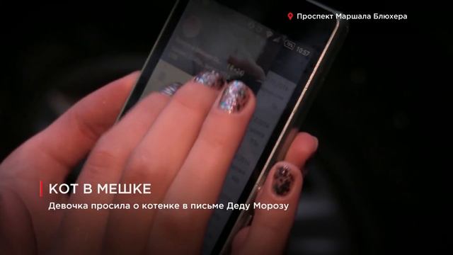 Живой подарок на Новый год смотреть онлайн