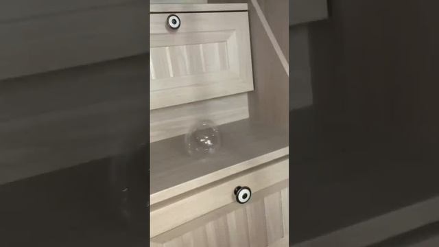 ЛОП ЛОП - ПРОВЕРЯЮ СКОТЧ ? смотреть онлайн