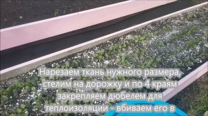 Избавляемся от сорняков - агроволокно.