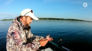 ПРАВИЛЬНАЯ КАША СНОВА ПРИНОСИТ ТРОФЕЙ Ловля на кольцо с лодки