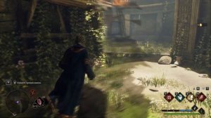 Hogwarts Legacy. Серия 121 - Сад лунных камней