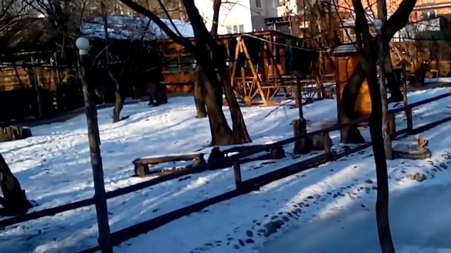 Рассказ в зоопарке 2 смотреть онлайн