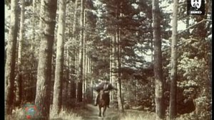 Серебряный шар 30.10.1995