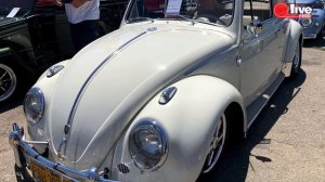 BUGORAMA — Самая большая выставка Volkswagen в США | LiveFEED