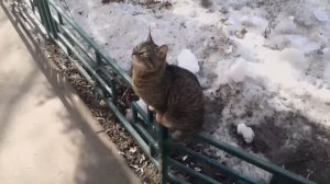 Выйди погулять, любимая!