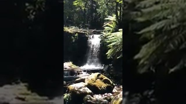 Horseshoe Falls in Mount Fields, Tasmania.