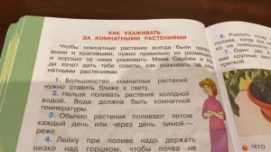 Окружающий мир/2 класс/Плешаков/ Тема : «Комнатные растения»/15.10.20
