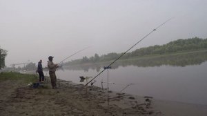 ОБСКАЯ ПРОТОКА.РЫБАЛКА НА ОБИ.СУДАК.