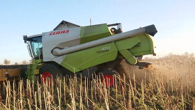 Уборка, Евралис (Янис). смотреть онлайн