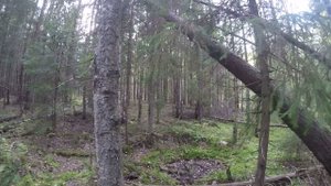 Закрытие грибного сезона.  21 сентября 2021