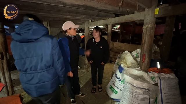 EM ĐÀO CÙNG YOUTUBE CÓI LALIN NGÃ NGỬA GIA THẾ NHÀ EM MAI смотреть онлайн