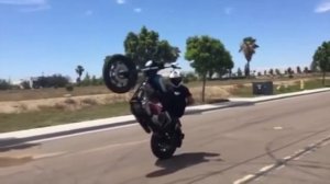 Стант на харлее Harley Davidson Stunt