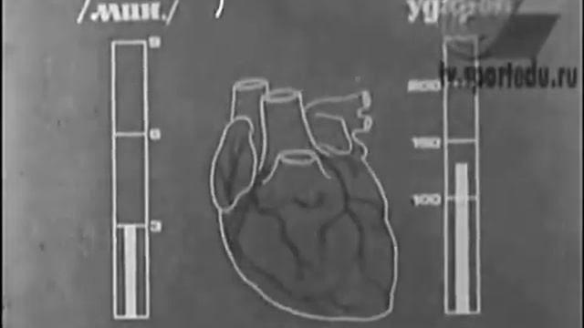 Бокс Круговая тренировка СССР смотреть онлайн