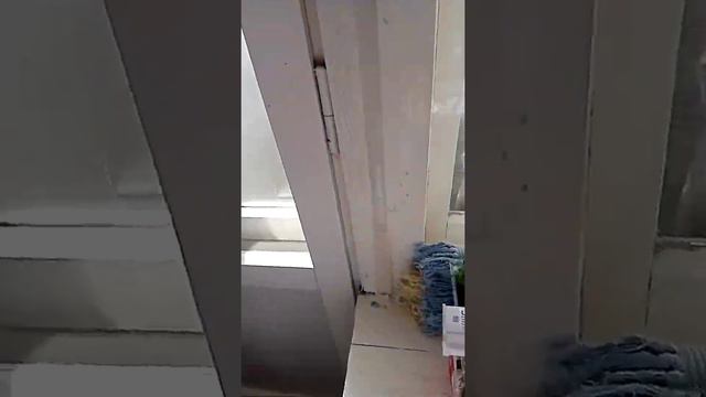 Алиссум,  немного  вытянулся 🙄
